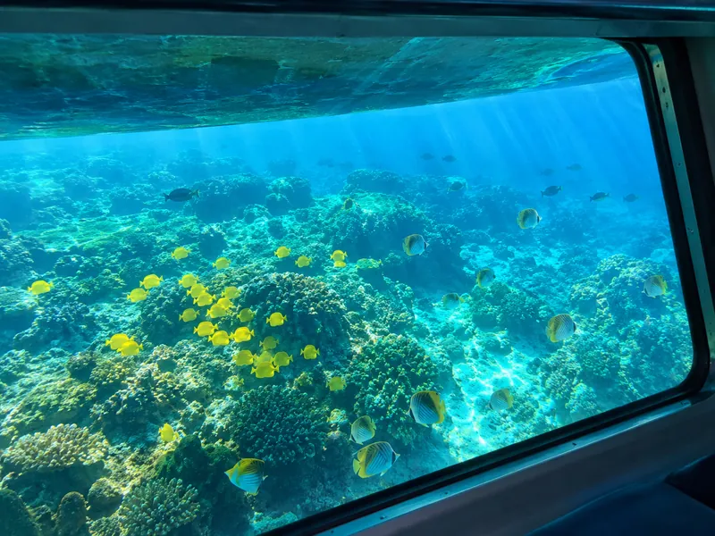 Molokini Sail & Snorkel on the Four Winds II