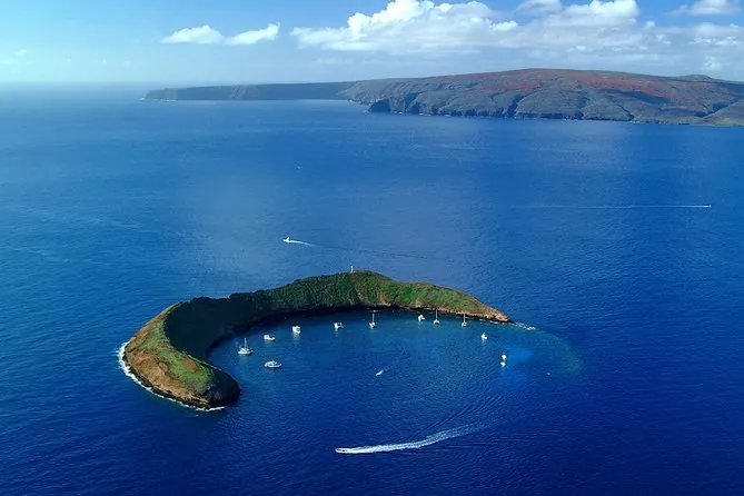 Molokini & Turtle Town on the Malolo